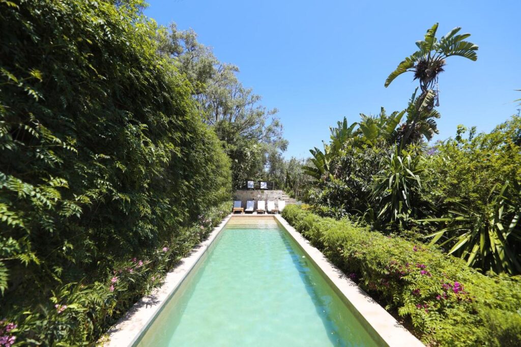 9 UNIQUE Riads in Tangier 2 A narrow outdoor swimming pool surrounded by lush green foliage and tall trees, with lounge chairs at the far end under a clear blue sky—evoking the tranquil ambiance found in riads in Tangier.