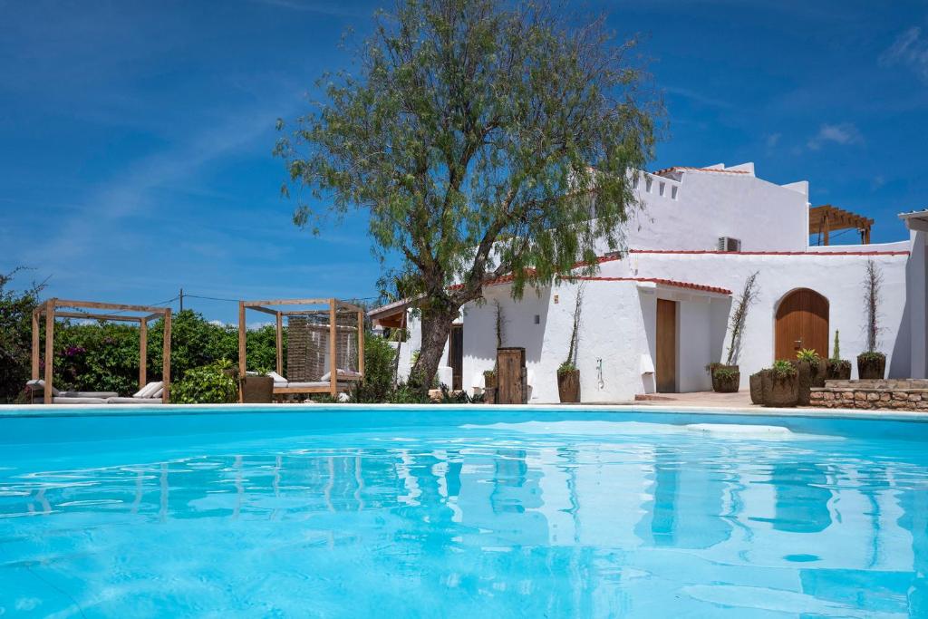A crystal-clear swimming pool sits before a white, Mediterranean-style villa—much like the boutique hotels in Formentera—adorned with wooden pergolas, potted plants, and a large tree beneath a bright blue sky.