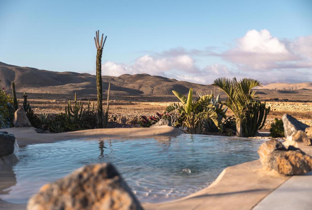 Adults Only Hotels in Fuerteventura 9 A clear swimming pool surrounded by rocks and desert plants, with distant sandy hills and a partly cloudy blue sky—this tranquil scene evokes the serene ambiance found at adults only hotels in Fuerteventura.