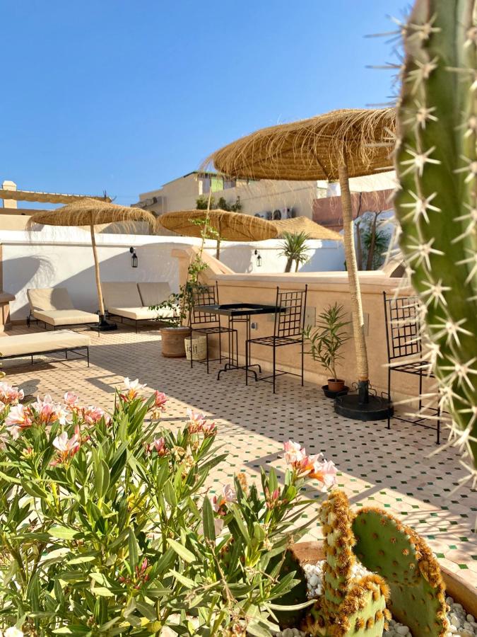 12 Charming Budget Riads in Marrakech 52 Sunny outdoor patio with tiled floor, metal tables and chairs, straw parasols, potted plants, blooming flowers, and a large cactus in the foreground—reminiscent of the charming budget riads in Marrakech—set against a clear blue sky and white walls.