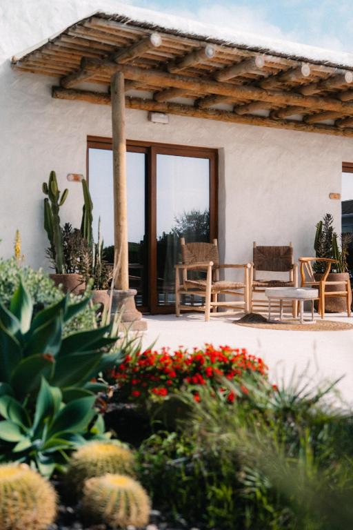 11 UNIQUE Boutique Hotels in Tenerife 23 A rustic patio with wooden chairs, a table, and potted cacti sits under a wooden pergola attached to a white stucco building—reminiscent of the charming spaces found at boutique hotels in Tenerife—surrounded by green plants and colorful flowers.