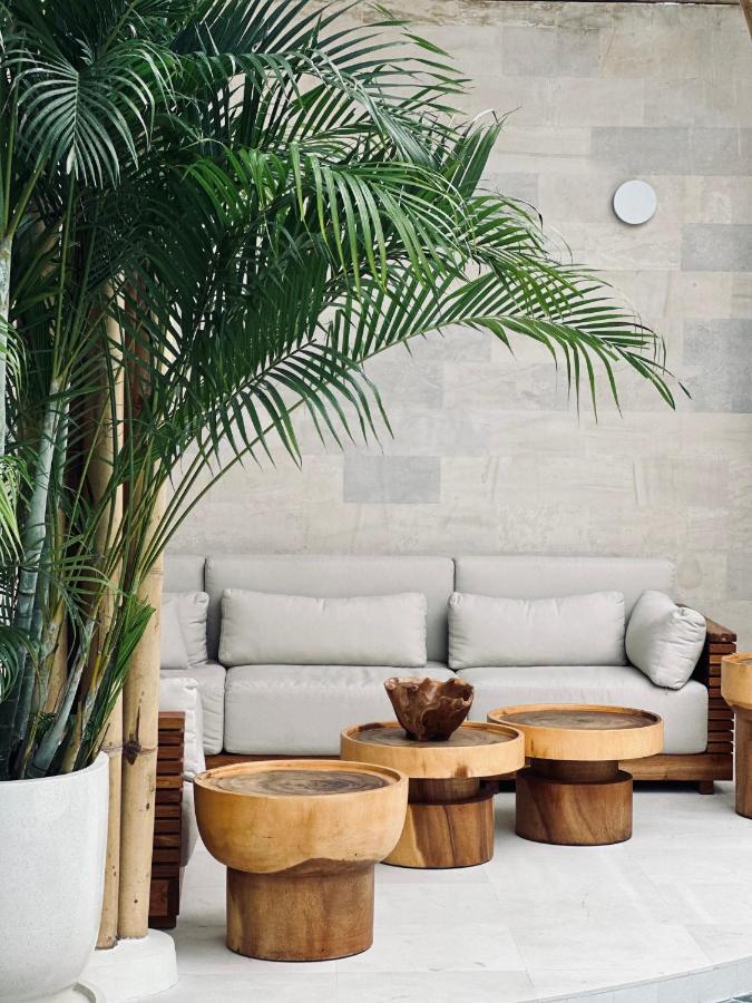 14 UNIQUE Boutique Hotels in Canggu, Bali 40 A modern, minimalistic seating area with a light gray sofa, wooden coffee tables, and a large green potted plant evokes the relaxed elegance found in boutique hotels in Canggu, set against a light stone wall.