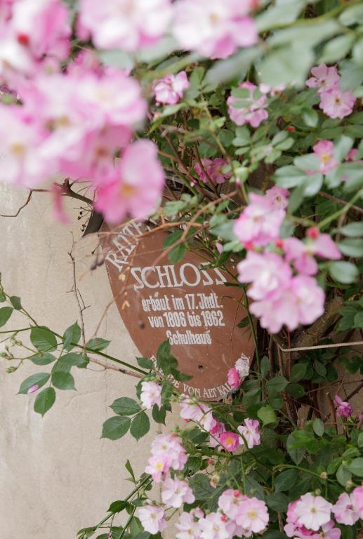 FAIRYTALE Castle Hotels in Bavaria 10 A weathered brown sign with German text, hinting at castle hotels in Bavaria, is partially hidden behind vibrant pink flowers and green leaves growing on a vine near a light-colored wall.