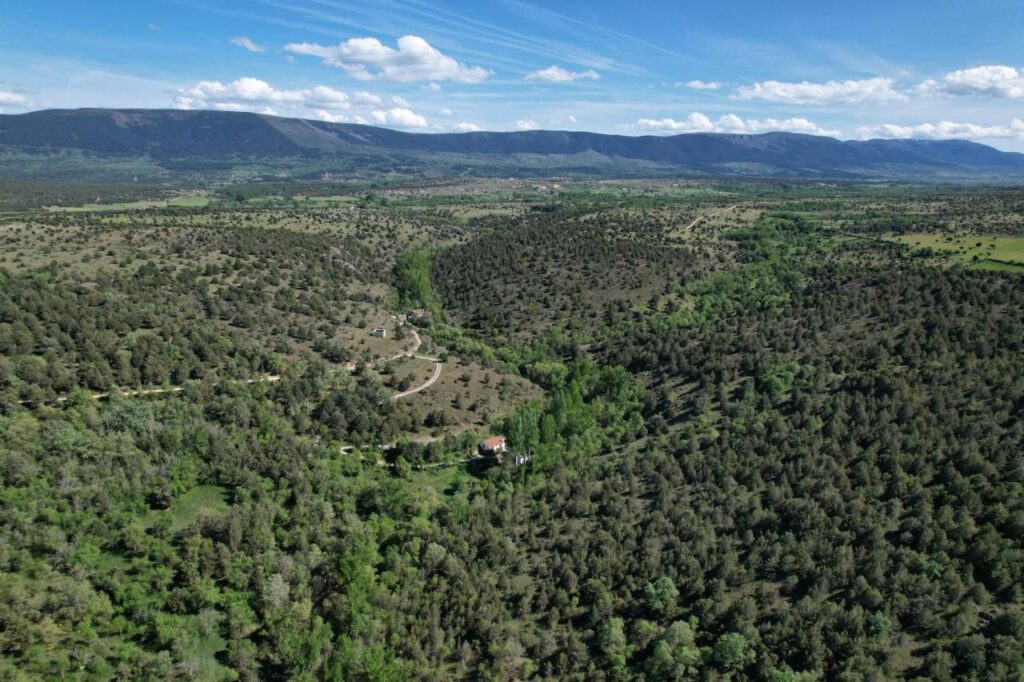 25 Weekend Trips from Madrid Max. 2h Away 69 Aerial view of a vast, green, hilly landscape with scattered trees, winding dirt roads, and a few small buildings—an ideal spot for weekend trips from Madrid. Mountains with patches of clouds appear in the background under a blue sky.