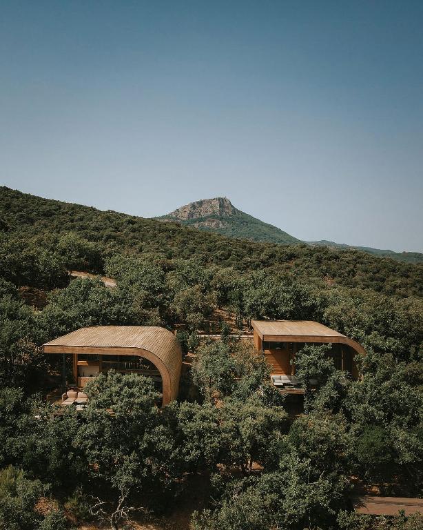11 Unique Places to Stay in Provence 22 Two modern wooden cabins with curved roofs are nestled among dense green trees, offering unique places to stay in Provence, with a mountain peak rising in the background under a clear blue sky.