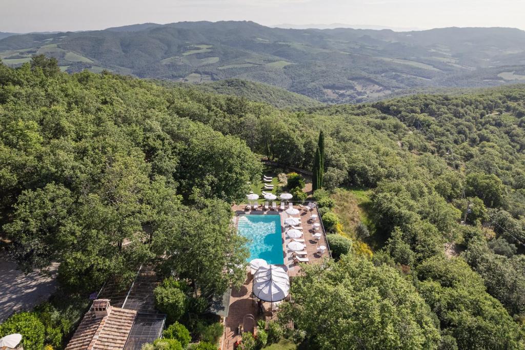 7 Best Agriturismos in Tuscany 29 Aerial view of a rectangular swimming pool at one of the charming agriturismos in Tuscany, surrounded by lounge chairs and umbrellas, nestled among dense green trees with rolling hills in the background.