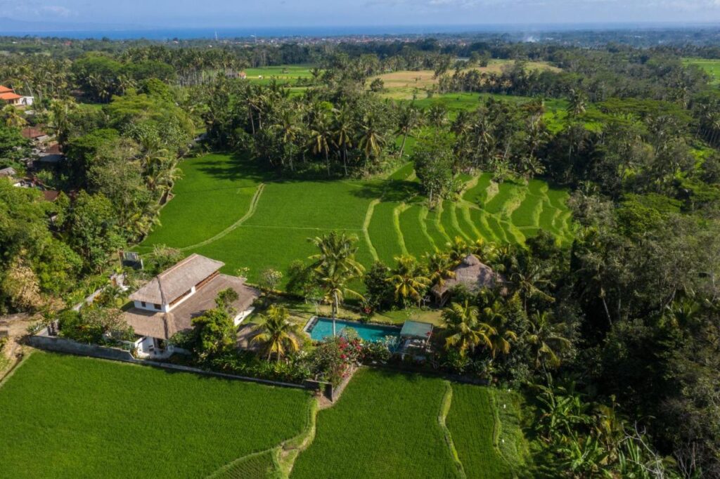 Aerial view of one of the best family villas in Bali, featuring a pool surrounded by lush green rice fields, palm trees, and tropical vegetation, with distant mountains and a blue sky in the background.