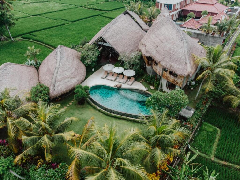 Aerial view of a tropical villa with a thatched roof, lush gardens, a curvy pool with loungers and umbrellas—one of the best family villas in Bali—surrounded by vibrant green rice paddies and palm trees.