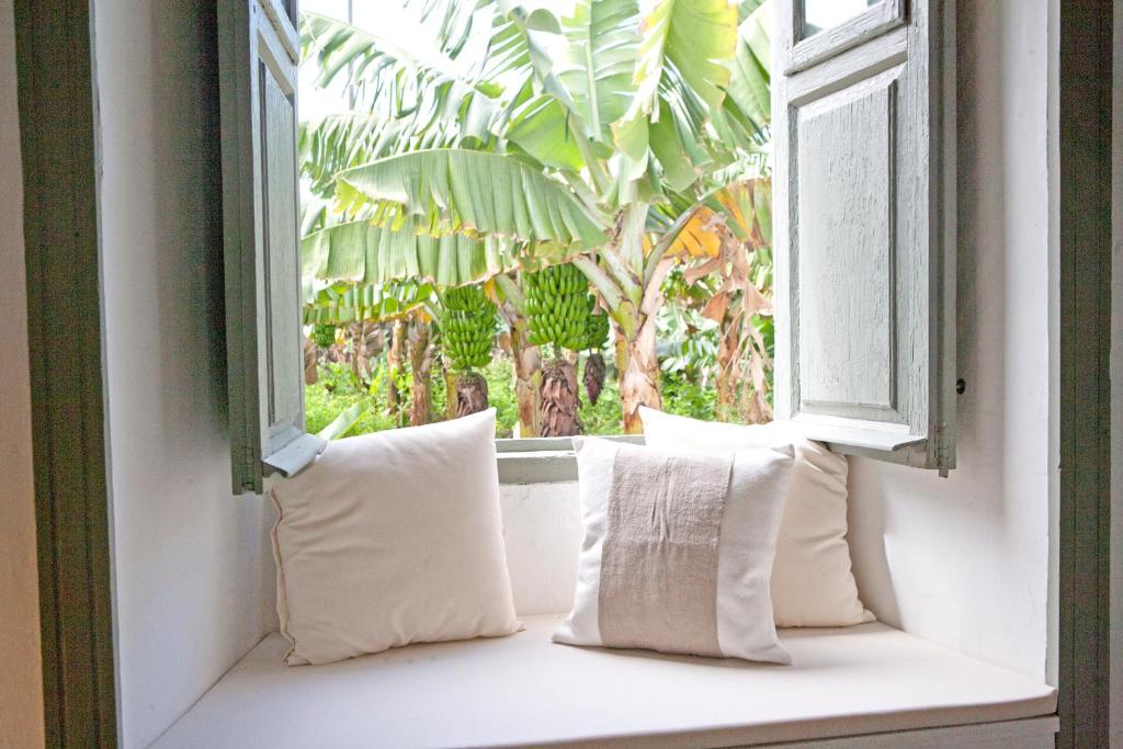 11 UNIQUE Boutique Hotels in Tenerife 20 A cozy window seat with two white cushions beneath an open window, overlooking lush green banana plants outside, evokes the charm found in Boutique Hotels in Tenerife.