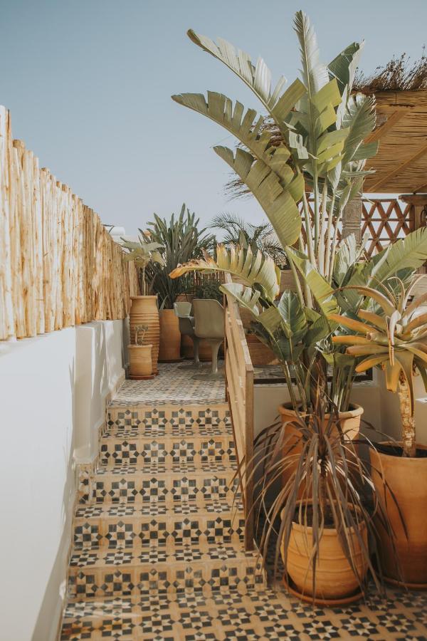 12 Charming Budget Riads in Marrakech 7 A sunlit outdoor staircase with patterned tiles leads to a seating area, surrounded by large potted tropical plants and a bamboo fence—typical of the relaxed vibes found at budget riads in Marrakech under a clear blue sky.