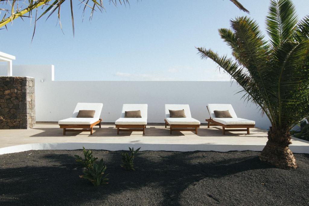 Unique Adults Only Hotels in Lanzarote 20 Four wooden lounge chairs with white cushions and brown pillows are arranged side by side on a patio, echoing the serene style found at top Adults Only Hotels in Lanzarote, framed by a palm tree and minimalist white walls.