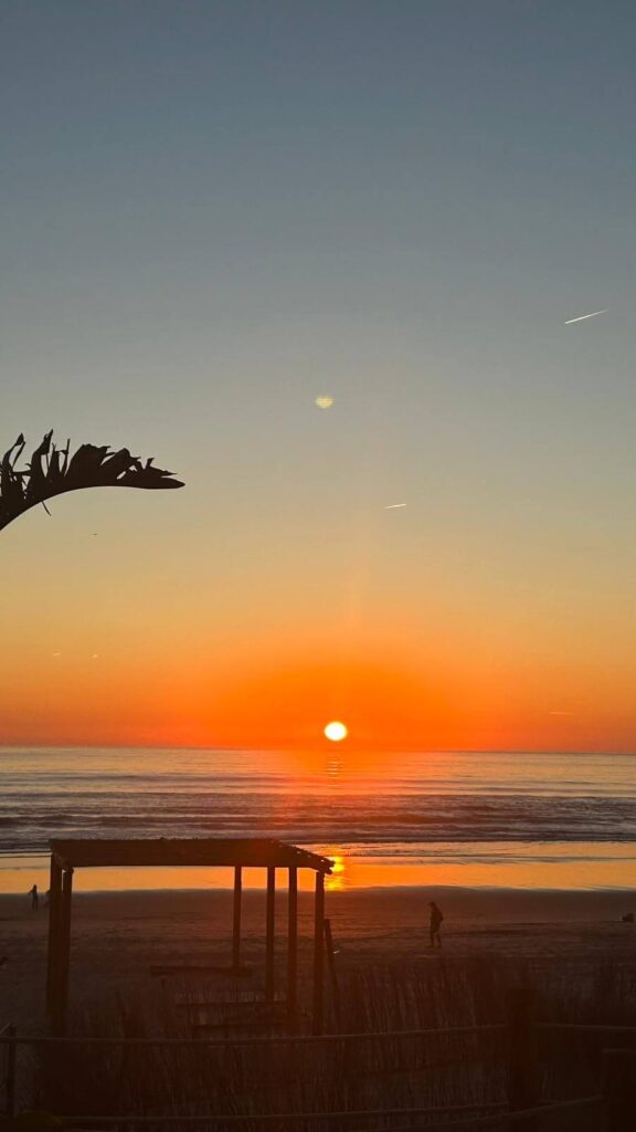 Adults-Only Hotels in Costa del Sol 40 The sun sets over the ocean, casting a vibrant orange glow on the water and sky. In the foreground, near one of the adult only hotels in Costa del Sol, silhouettes of a pergola, palm leaf, and a person walking on the beach are visible.