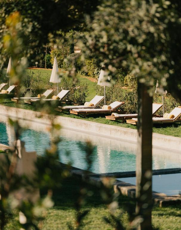 11 Unique Places to Stay in Provence 38 A serene outdoor pool lined with several white lounge chairs and umbrellas, surrounded by lush greenery and trees, creates a relaxing, sunlit atmosphere—perfect for those seeking unique places to stay in Provence.