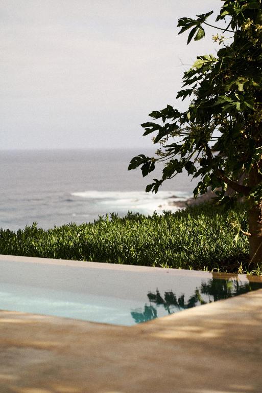11 UNIQUE Boutique Hotels in Tenerife 40 A serene scene at one of the finest boutique hotels in Tenerife, featuring a calm infinity pool in the foreground, lush greenery, and a tree to the right, overlooking the ocean with gentle waves under a cloudy sky.