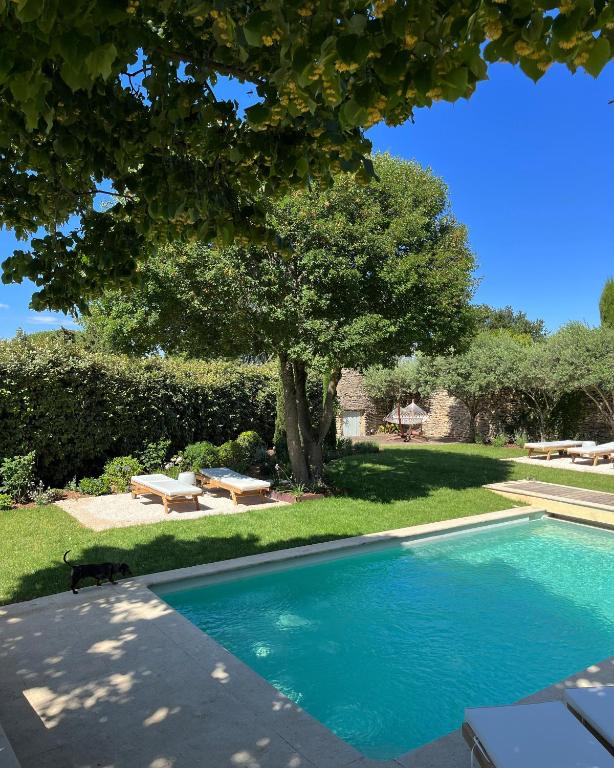11 Unique Places to Stay in Provence 26 A sunny backyard with a swimming pool, stone patio, lounge chairs, green grass, and a large tree providing shade—perfect for those seeking unique places to stay in Provence. A black cat strolls near the pool as lush hedges line the garden.