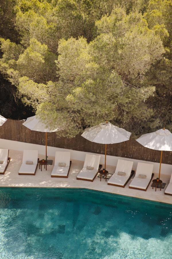 A row of white lounge chairs with white umbrellas lines the edge of a clear blue swimming pool at one of the boutique hotels in Formentera, set beside a fence and surrounded by lush green trees.