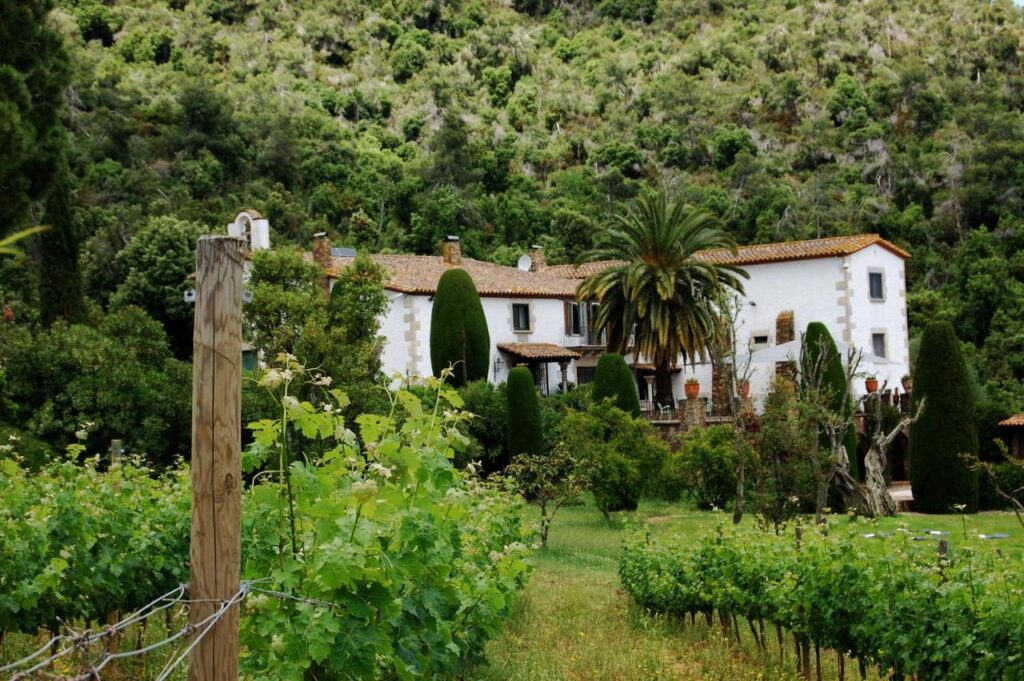 A white villa with terracotta roof tiles is surrounded by lush greenery, palm trees, and a vineyard—reminiscent of the tranquil rural charm found at boutique hotels in Costa Brava, set against forested hills.