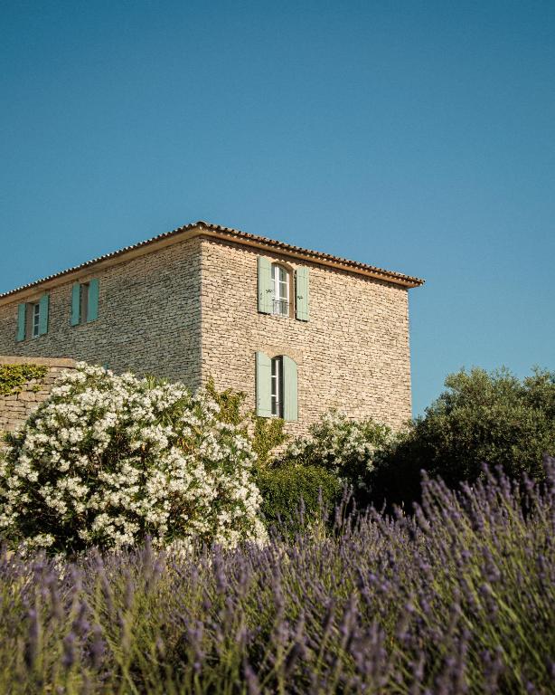 11 Unique Places to Stay in Provence 39 A stone house with green shutters stands under a clear blue sky, surrounded by lush bushes with white flowers and a foreground of blooming lavender—one of the unique places to stay in Provence.