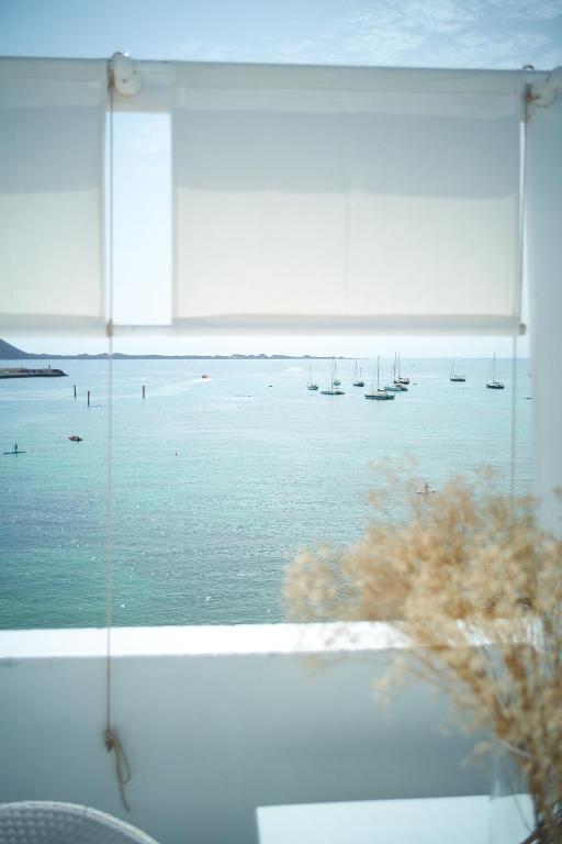 Adults Only Hotels in Fuerteventura 25 View of a calm turquoise sea with sailboats in the distance, seen through a white window shade—perfect for guests seeking adults only hotels in Fuerteventura. Dried plant in the foreground and bright natural light illuminate the serene scene.