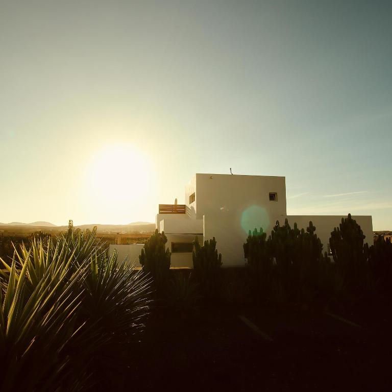 Adults Only Hotels in Fuerteventura 11 A modern white building, possibly one of the exclusive adults only hotels in Fuerteventura, is partially obscured by tall green plants as the setting sun casts a warm golden light over the serene scene.