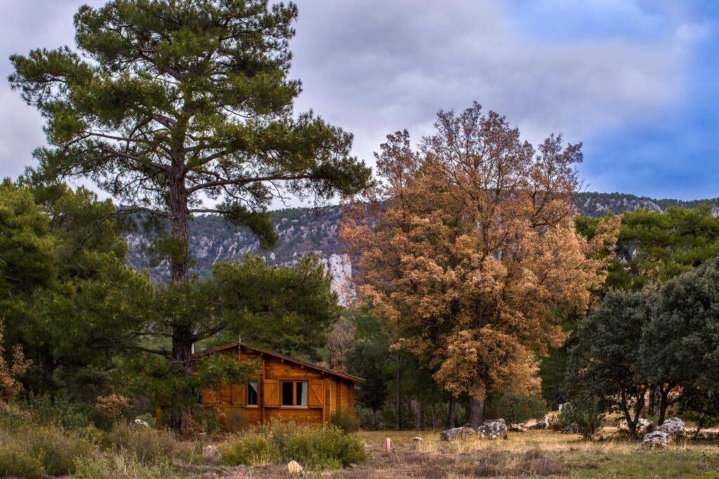 25 Weekend Trips from Madrid Max. 2h Away 85 A small wooden cabin sits among tall pine and deciduous trees in a grassy clearing, with mountains and a cloudy sky in the background—an ideal spot for weekend trips from Madrid.
