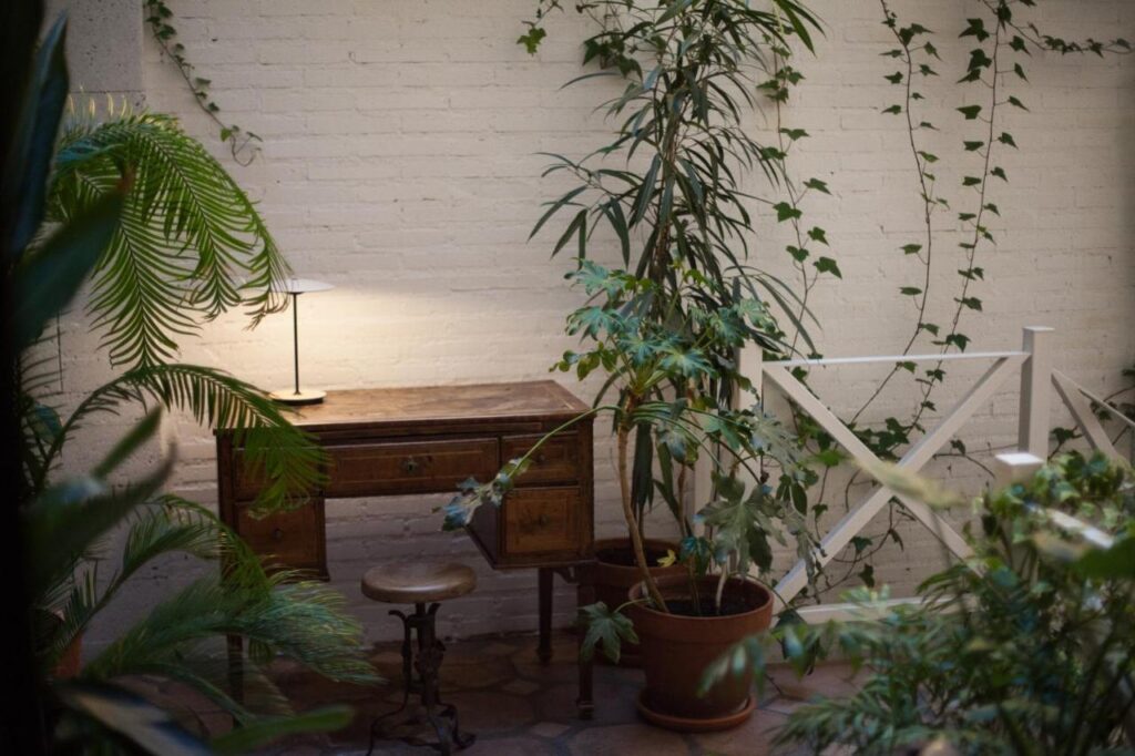 Where to Stay in Madrid: 14 Best Hotels 34 A cozy corner with a wooden desk, stool, and lamp is surrounded by potted green plants and climbing vines against a white brick wall—perfect inspiration when searching for where to stay in Madrid first time, evoking a peaceful, indoor garden atmosphere.