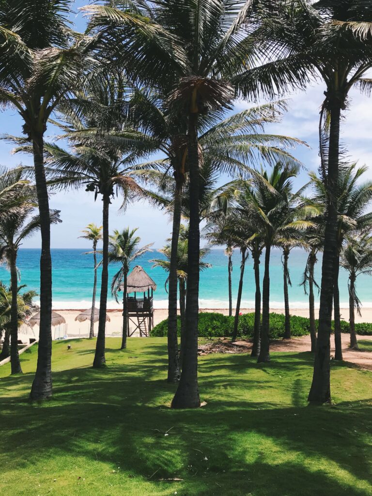 Top Hotels in Tulum, Mexico: Luxury and Beachfront Stays 1 Tall palm trees on lush green grass frame a view of a sandy beach, turquoise ocean, and a small wooden lifeguard hut—much like the scenery near the top hotels in Tulum—under a blue sky with scattered clouds.