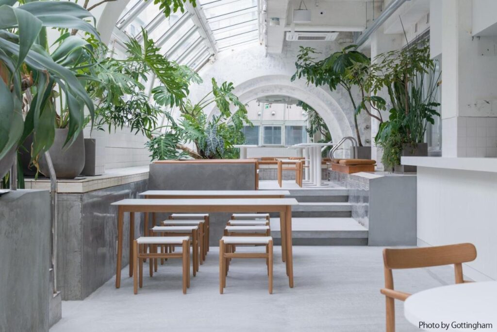 7 Best Hotels in Hiroshima, Japan 2 A bright, modern cafe with large windows, wooden tables and chairs, gray concrete accents, and abundant green plants—an inviting spot often found near the best hotels in Hiroshima, Japan, creating a fresh, airy atmosphere.