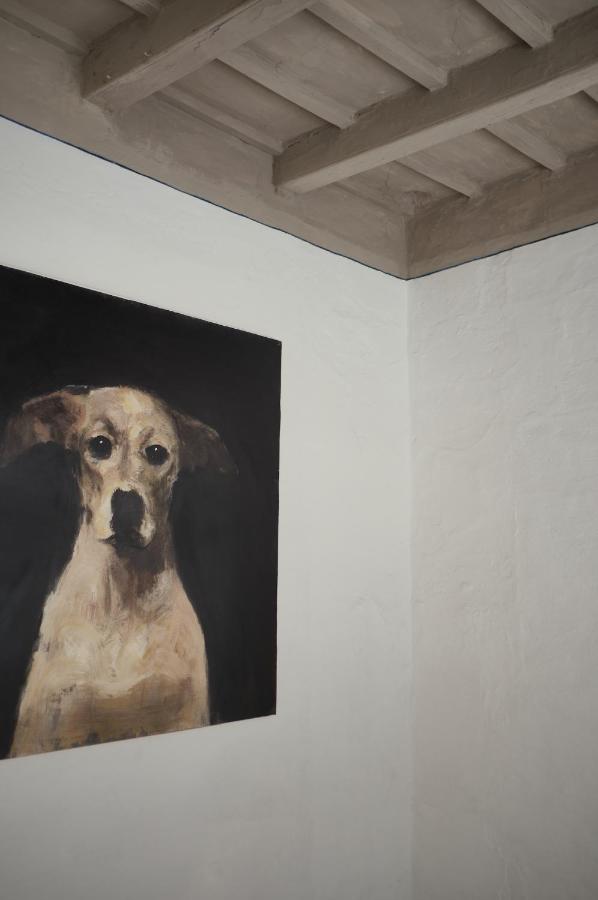 Unique Boutique Hotels in Menorca 16 A painting of a dog with a light coat and dark eyes hangs on a white textured wall in the corner of a room with a wooden ceiling, evoking the cozy charm found in boutique hotels in Menorca.