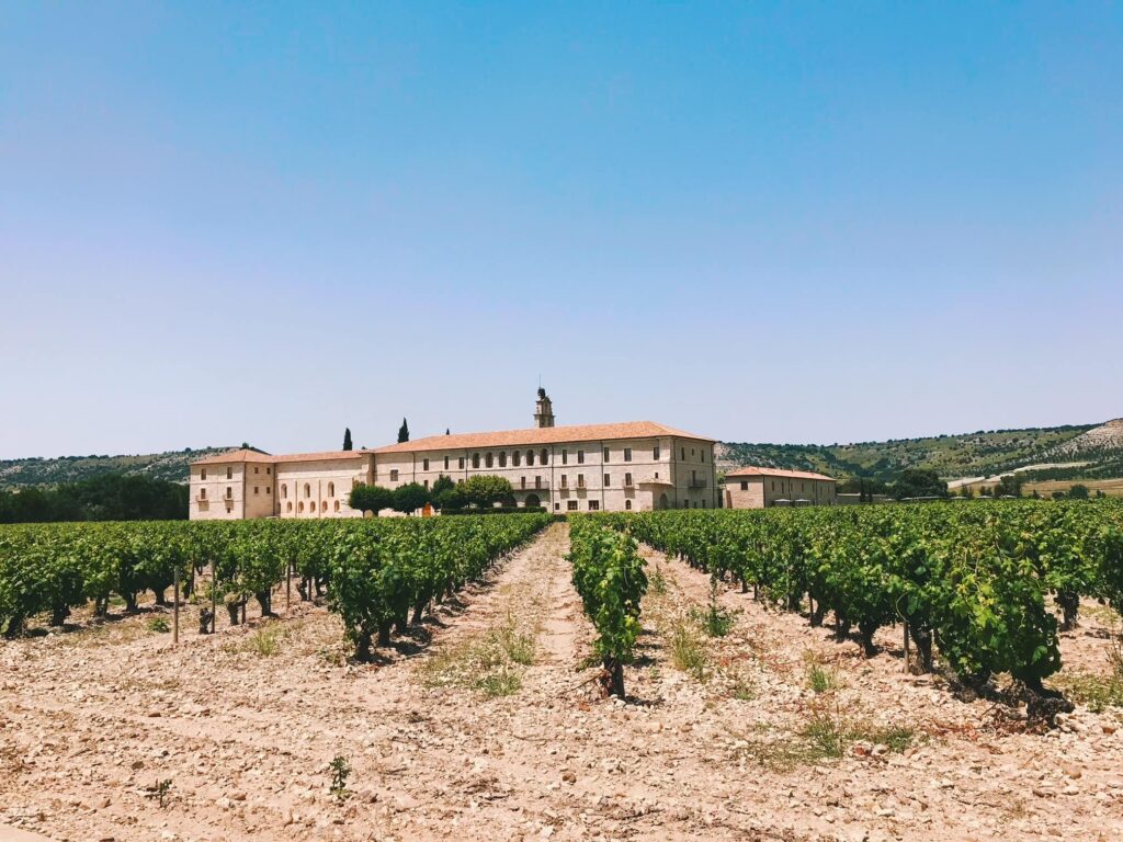 4 Best Hotels in Ribera del Duero, Spain 1 A large stone building with a red tile roof stands behind rows of grapevines in a vineyard under a clear blue sky, surrounded by green hills—one of the charming hotels in Ribera del Duero.