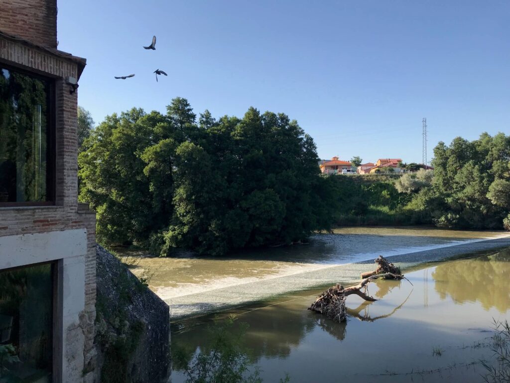 4 Best Hotels in Ribera del Duero, Spain 17 Calm Duero river with a small waterfall, tree branches in the water, and three birds flying above. Dense green trees and houses—perhaps hotels in Ribera del Duero—are visible in the background under a clear blue sky.
