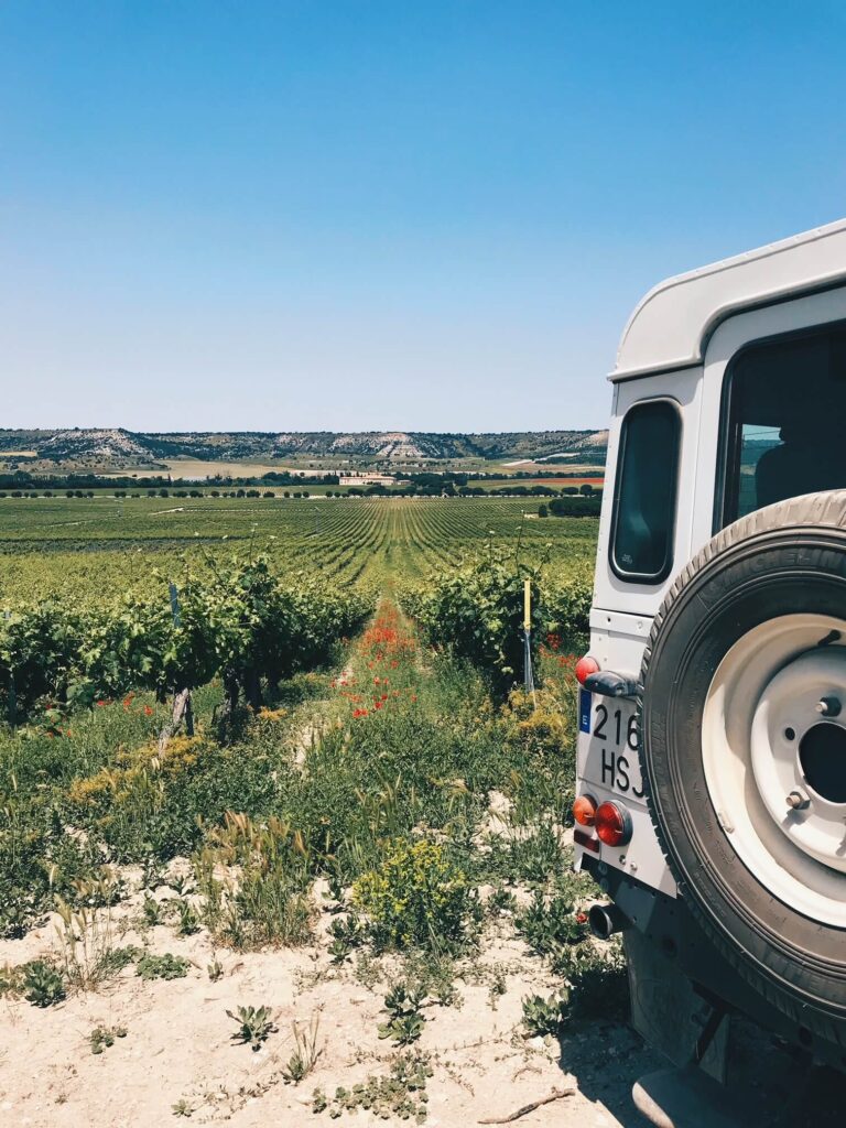 4 Best Hotels in Ribera del Duero, Spain 8 A white off-road vehicle is parked at the edge of a vineyard near hotels in Ribera del Duero, with rows of grapevines stretching into the distance beneath a clear blue sky and hills on the horizon.
