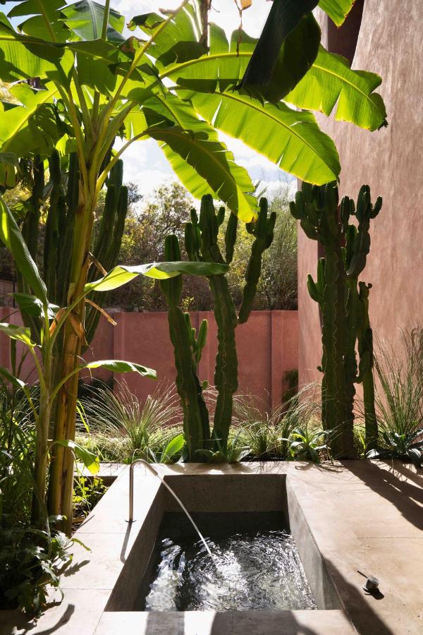 10 Unique Riads in Marrakech with Pool 7 A small stone pool with a water spout is surrounded by tall cactus plants, banana trees, and lush greenery, all enclosed by pink stucco walls in bright sunlight—evoking the charm of riads in Marrakech with pool.