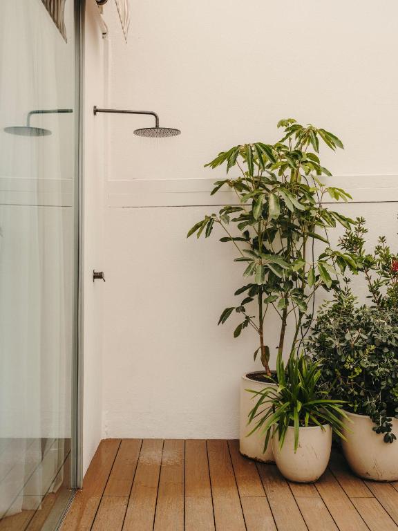 13 Unique Hotels in Barcelona, Spain 27 Outdoor shower with a round showerhead mounted on a white wall, next to a glass door. Several green potted plants sit on a wooden deck beneath the shower—perfect for guests seeking unique hotels in Barcelona.