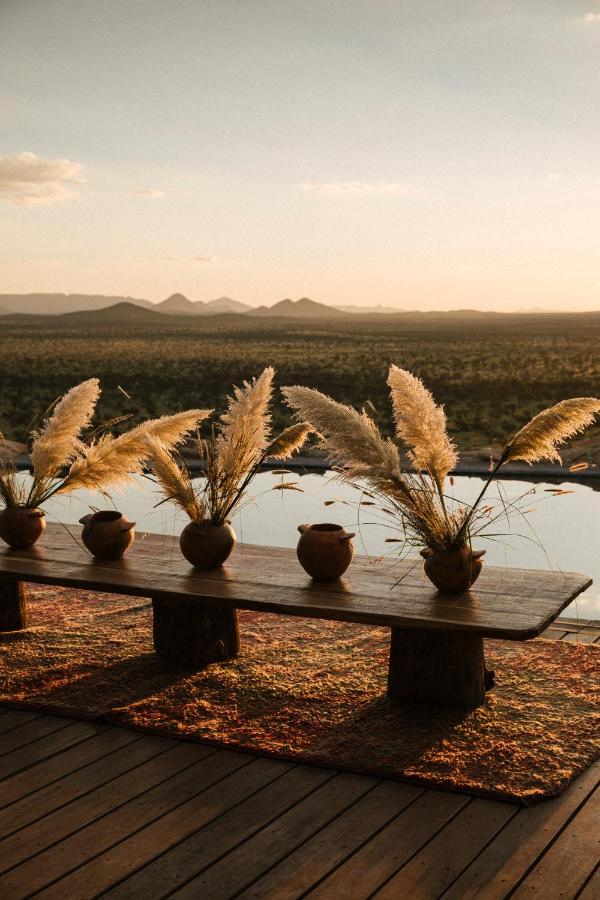 Unique Safari Lodges in Namibia: Wildlife and Adventure 1 A long wooden table with clay vases holding pampas grass sits on a rug, overlooking a river and vast landscape with distant mountains at sunset—echoing the warm, serene charm of safari lodges in Namibia.