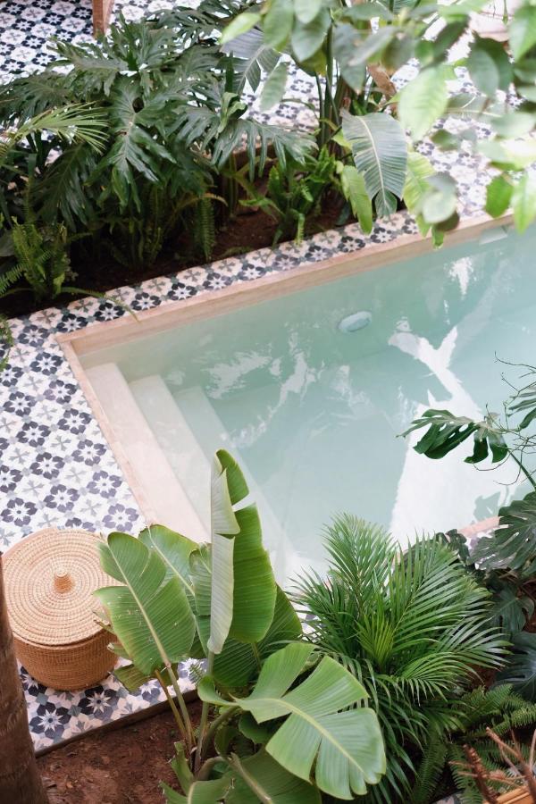 10 Unique Riads in Marrakech with Pool 31 A small pool with light blue water is surrounded by tropical plants and patterned tiles; reminiscent of riads in Marrakech with pool, a round woven stool sits nearby, creating a lush and inviting outdoor oasis.