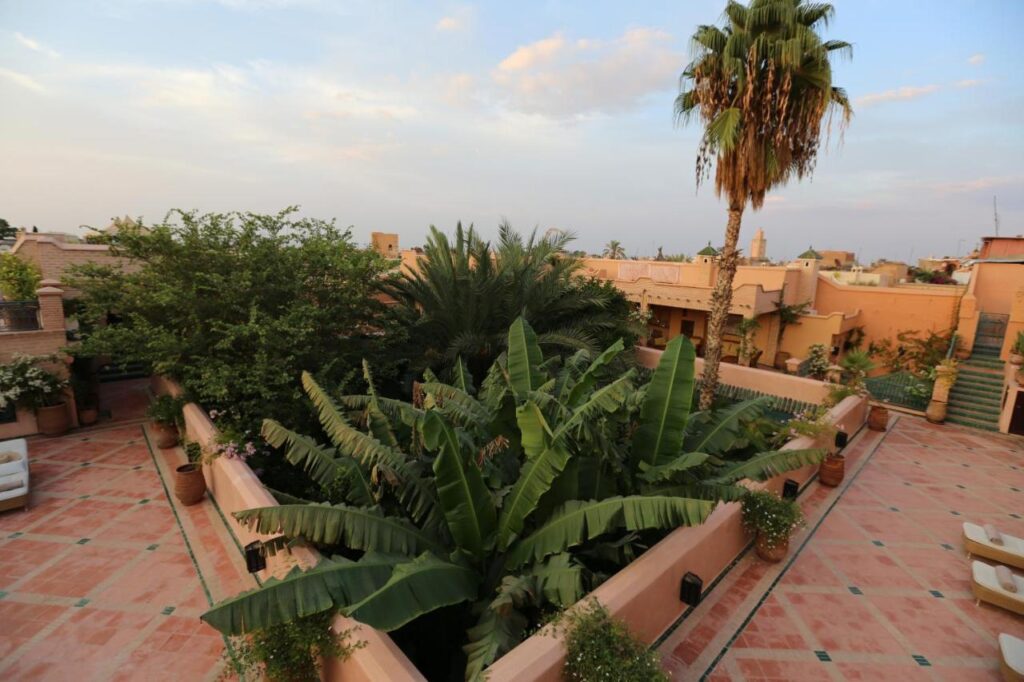 10 Unique Riads in Marrakech with Pool 4 A rooftop terrace with terracotta tiles, potted plants, and lush greenery—including large banana leaves and a tall palm—echoes the tranquil vibe of riads in Marrakech with pool, set against tan buildings and a minaret beneath a partly cloudy sky.