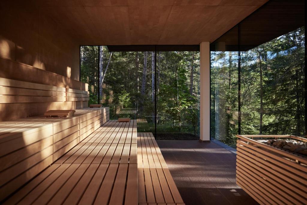 A modern wooden sauna with tiered seating and large floor-to-ceiling glass windows offers a clear view of a lush green forest—an experience reminiscent of the best hotels in the Dolomites, where nature and luxury seamlessly blend.