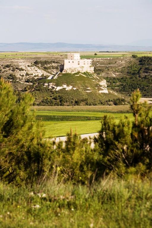 4 Best Hotels in Ribera del Duero, Spain 25 A distant stone castle sits atop a green hill, surrounded by fields and vegetation under a clear sky—reminiscent of the idyllic views near hotels in Ribera del Duero. Bushes and trees are visible in the foreground.