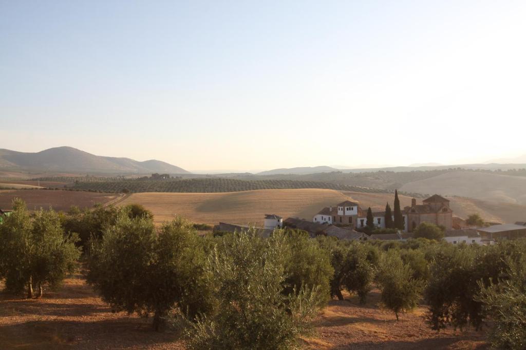 TOP 10 Luxury Hotels in Andalucía 30 A rural landscape with olive trees in the foreground, rolling hills and fields in the background, and a cluster of houses and a church—reminiscent of views from luxury hotels in Andalucía—under a clear sky at sunset.