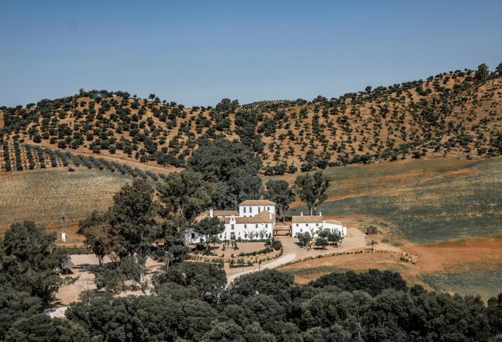 TOP 10 Luxury Hotels in Andalucía 34 A large white house, reminiscent of luxury hotels in Andalucía, sits surrounded by trees in a rural landscape with rolling hills, green and brown fields, and rows of crops or olive trees under a clear blue sky.