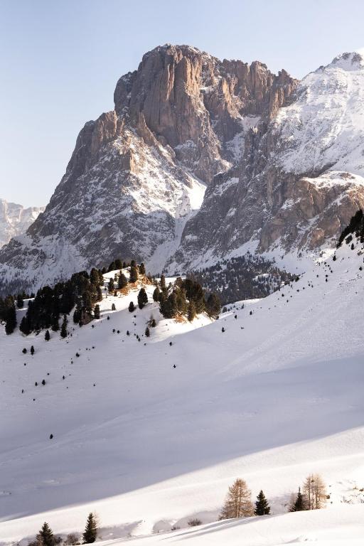 Snow-covered mountain landscape with scattered pine trees on the hillside, leading up to a towering, rocky mountain peak under a clear sky—an inviting view near some of the best hotels in the Dolomites.