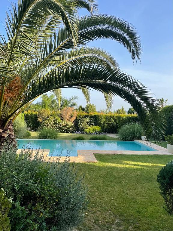 TOP 10 Luxury Hotels in Andalucía 12 A swimming pool surrounded by lush green plants and palm trees in a well-maintained garden, under a clear blue sky—an oasis reminiscent of the finest luxury hotels in Andalucía.