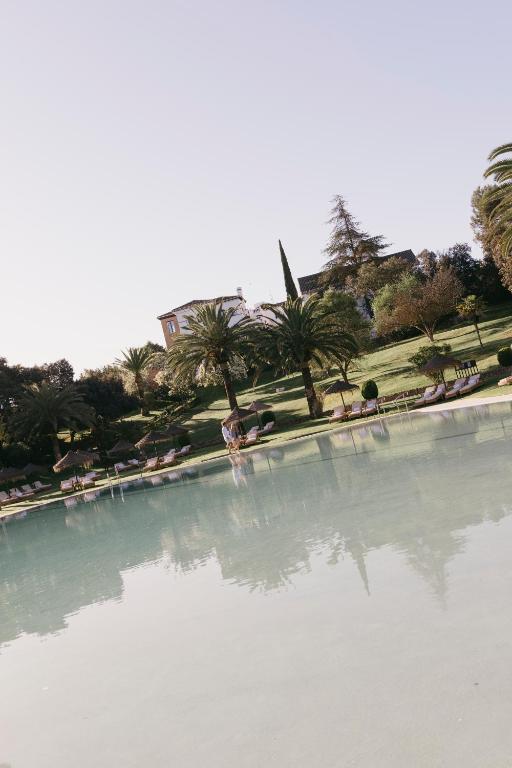 TOP 10 Luxury Hotels in Andalucía 22 A serene pool with clear water reflects palm trees and a large house on a grassy hill under a clear sky—an oasis reminiscent of luxury hotels in Andalucía. Lounge chairs and umbrellas line the poolside.