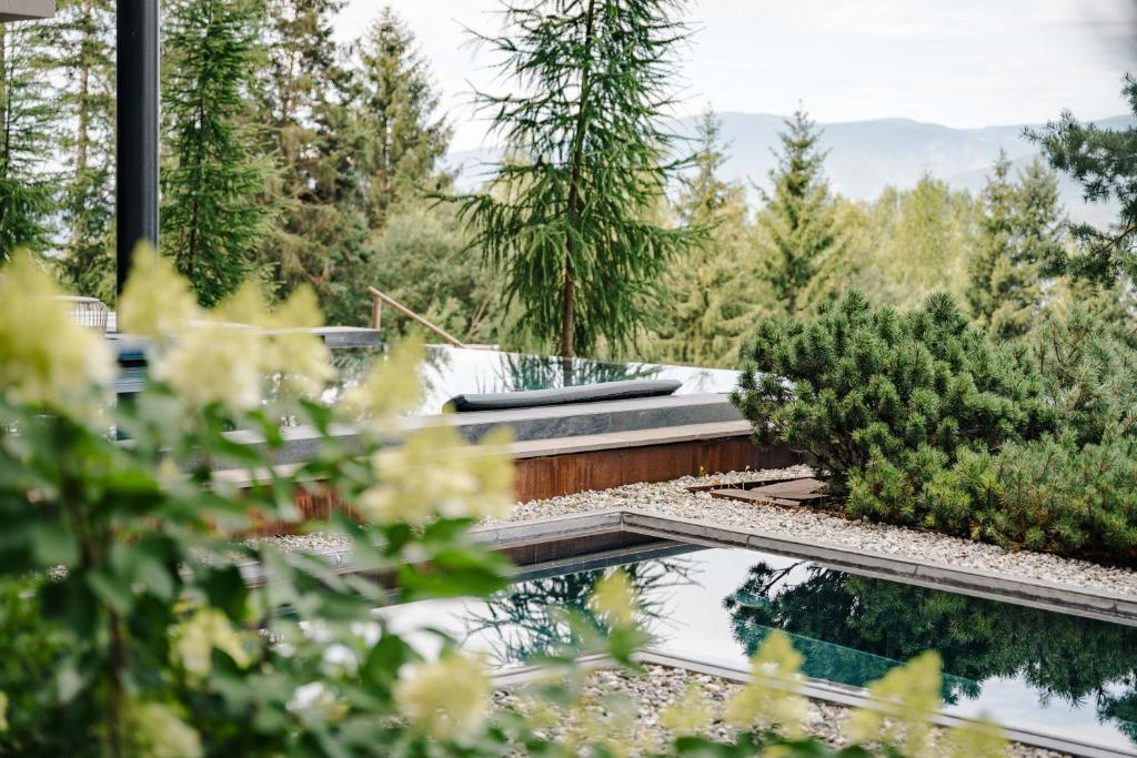 Rectangular outdoor pool surrounded by greenery, shrubs, and trees, with mountains visible in the background. Soft natural lighting creates a peaceful, relaxing atmosphere—ideal for those seeking the best hotels in the Dolomites.