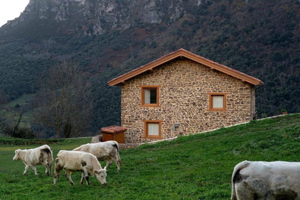 stone building of luarna apartments with sheep outside, one of the most unique hotels in cantabria Spain