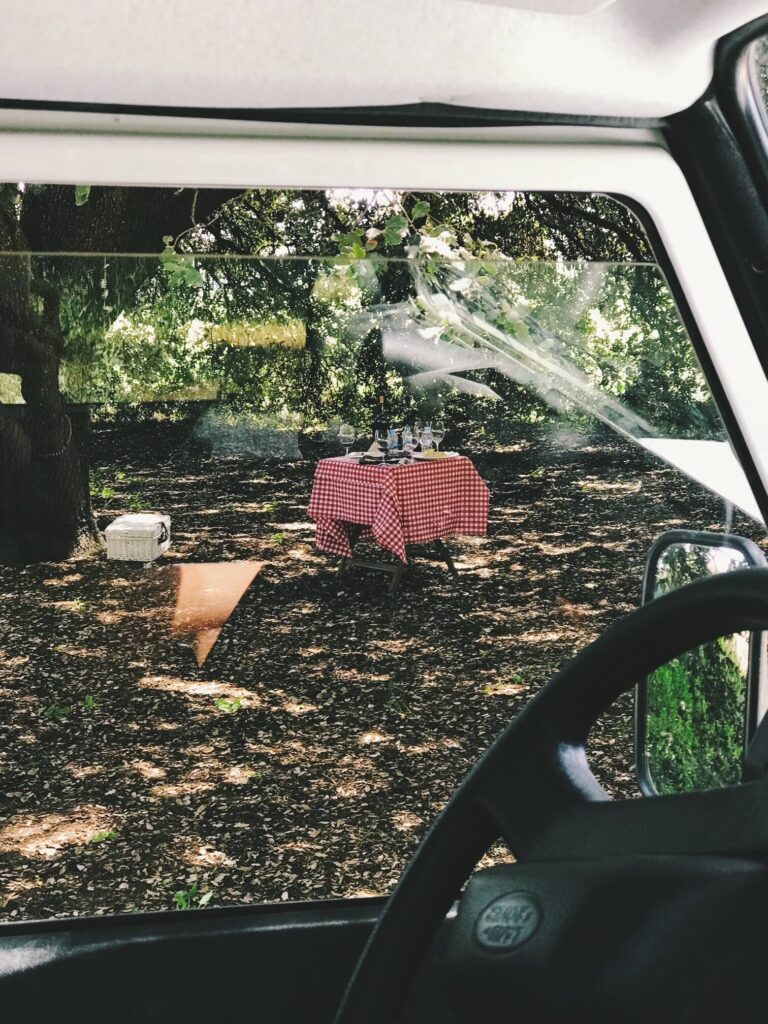 4 Best Hotels in Ribera del Duero, Spain 11 A picnic table with a red-and-white checkered tablecloth sits under shady trees, seen through a parked vehicle’s window—dappled sunlight flickers across the scene, evoking the countryside charm of hotels in Ribera del Duero.