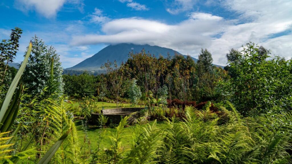 Best Hotels in Rwanda: Unique Hotels and Lodges 1 Lush green garden with various plants and ferns in the foreground, set against a large mountain partially covered by clouds under a blue sky—reminiscent of landscapes seen near the best hotels in Rwanda.
