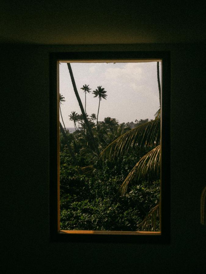 Unique Places to Stay in Sri Lanka: Boutique & Beach Hotels 1 view of wild vegetation from room blue waves surf house beach hotel, one of the most unique places to stay in sri lanka