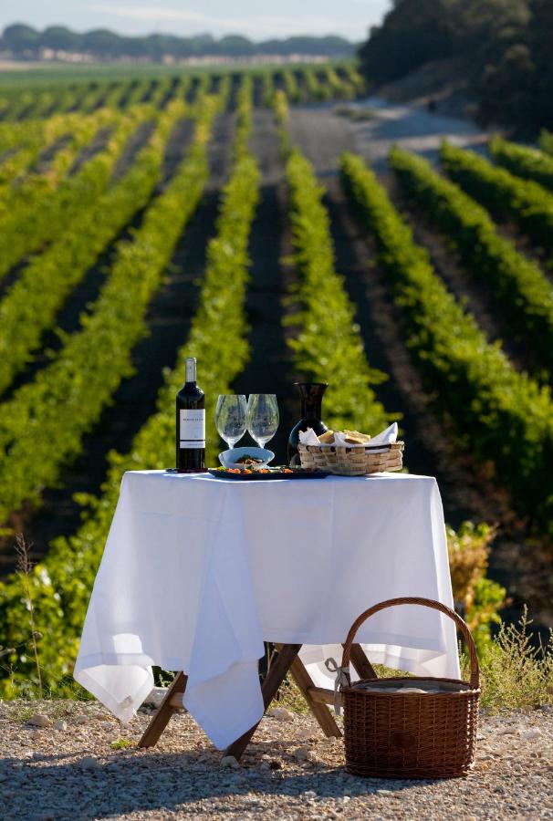 4 Best Hotels in Ribera del Duero, Spain 2 A table with a white cloth, wine bottle, glasses, bread, and snacks stands in front of green vineyard rows under a sunny sky—an inviting scene often enjoyed by guests at hotels in Ribera del Duero—with a wicker picnic basket nearby.